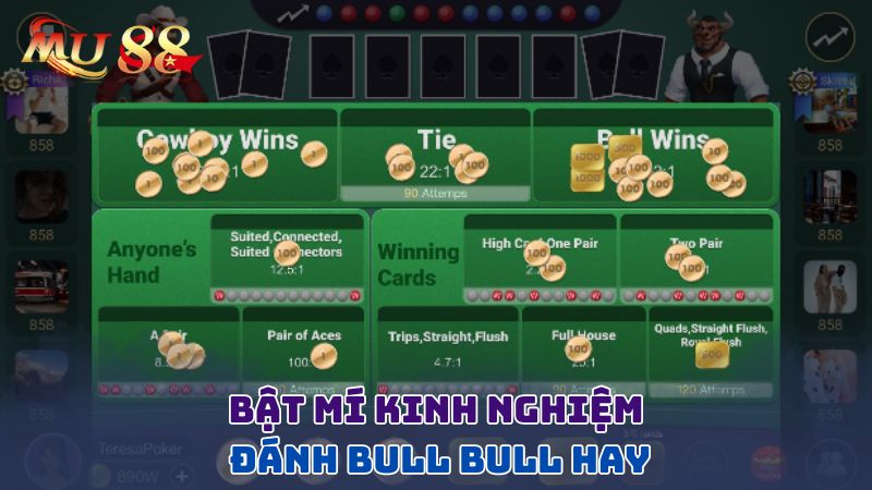 Bật mí kinh nghiệm đánh bull bull hay