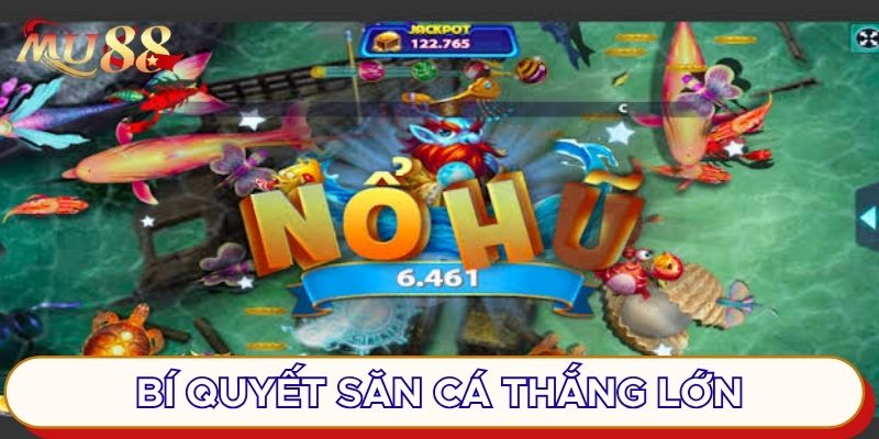 Bí quyết săn cá thắng lớn