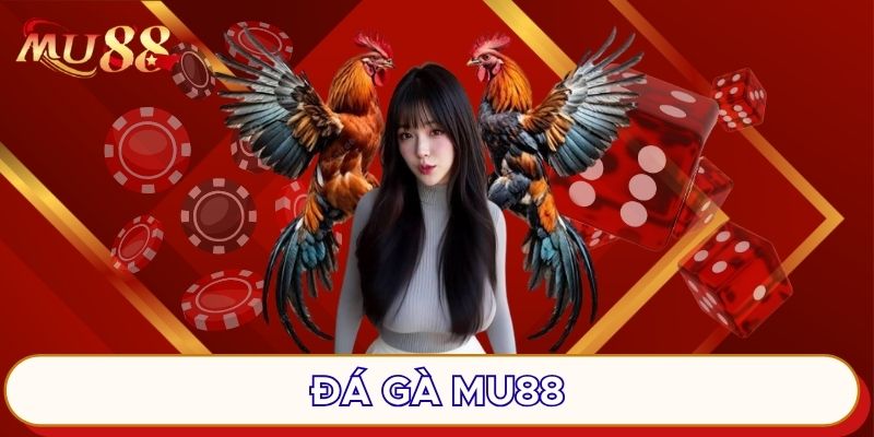 Đá gà MU88 tạo nên sự khác biệt