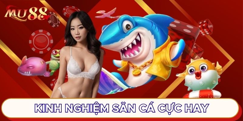 Kinh nghiệm săn cá cực hay